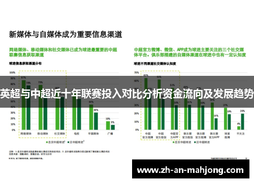 英超与中超近十年联赛投入对比分析资金流向及发展趋势