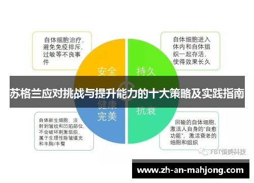 苏格兰应对挑战与提升能力的十大策略及实践指南 苏格兰应对挑战与提升能力的十大策略及实践指南